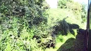 Chemin de Fer du Bocq - Shadows on the Hedges