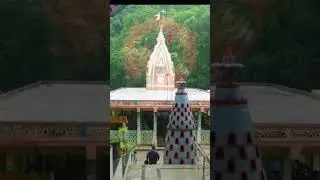 Ultimate Lord #shiv #shivratri #kedarnath