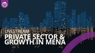 Shifting Gears: The Private Sector as an Engine of Growth in Middle East and North Africa (MENA)