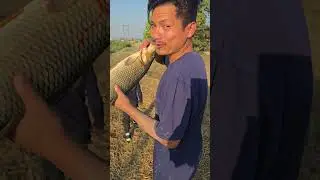 Watch till end funny moments #highlights #fishing