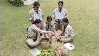 Sustainable Living: Making Natural Compost | Class IX Project | Shah Satnam Ji Girls&rsquo; School, SGM