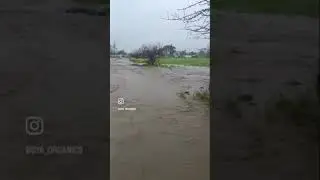 100 year flood through our crop fields and farm