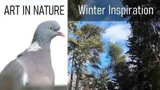Art in Nature - Winter Inspiration