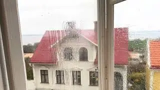 Sparris, öring och lyckliga pudlar