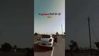 No gulami ⚜️