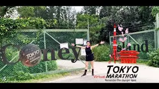 Виртуальный марафон _03 | Токийский марафон True Running Spirit 2020 | Забег по миру | В стиле Ло...