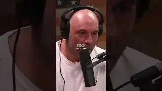 Joe Rogan advice to young men