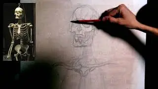 Skeletal Charcoal DrawingTimelapse
