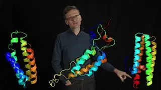 Lecture 07, concept 18: Four-helix bundles - examples of simple alpha helix structures