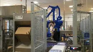 Robotsystem for bags packaging and palletizing - Robotersystem f&uuml;r Beutelverpackung und Palettierung