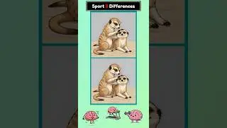 #237 Spot the Difference - Cute Meerkats Grooming | Brain Fitness Puzzle Game