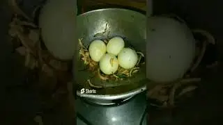 lets cook egg chilli fry | kodi guddu kaaram #kodiguddukaram#guddukaram