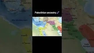 Palestinian Ancestry🧬 #anthropology #arab #palestinian #palestine #arabworld #genetics #ancestrydna