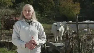 INNOCALVANA: un progetto per l'agrobiodiversità