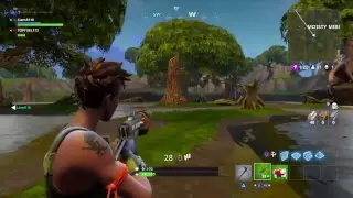 Fortnite battle royal liams bday