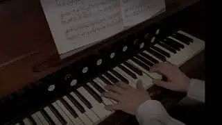 Luigi Bottazzo  YAMAHA reed organ.