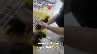 Fam&iacute;lia el&eacute;trica Fur&otilde;es, bbs que num piscar de olhos j&aacute; se viraram nos 30.Como amo os bichinhos💙❤️😇💡
