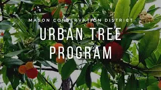 Mason Conservation District Urban Tree Program