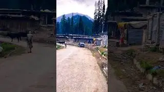pure and simple... #gujjar #bakkarwal #kashmir #natureshorts #jammu #travel