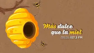 M&aacute;s Dulce que la Miel