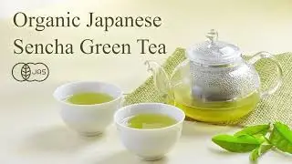 【JAS Organic】How to Brew Organic Sencha Green Tea【Yamasan Kyoto Uji】
