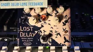 Rafferty Pedals - Lost Delay (Vintage Analog Delay/Echo/Modulation)
