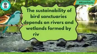 Rivers Create Wetlands. Wetlands Sustain Birds!