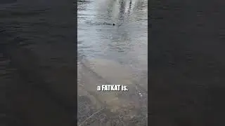 Catch More Fish River Fishing W/ A Drifting Bobber Rig: Trophy Catfishing Rig: FATKAT Best Rigs!
