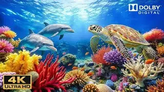 Stunning 4K Aquarium Video &ndash; Amazing Fish Tanks in Ultra High Definition 🐟 Relaxing Music For Sleep