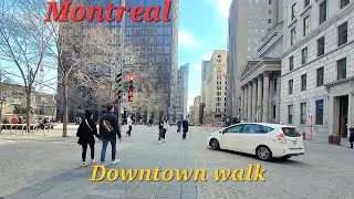 Montreal Downtown streets walk