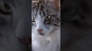 Jangan atur hidup aku