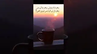 chai shayari whatsapp status |Tea poetry in urdu|Lashpash21 #chai #chailover #love