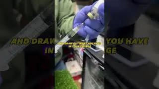 🐶Вакцинация щенков на дому🏠‼️💉Посмотрите полное видео на канале YouTube🎥📺