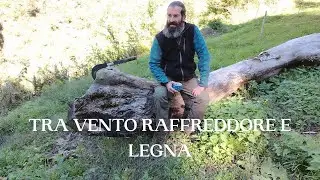 TAGLIO LEGNA IN SILENZIO &ndash; IL SUONO DELLA MONTAGNA