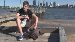 Finalist 2015 Breakthrough Junior Challenge: James Dingley