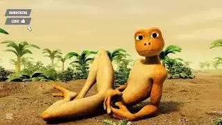 Patila - Missed The Stranger | Damila Dancing frog