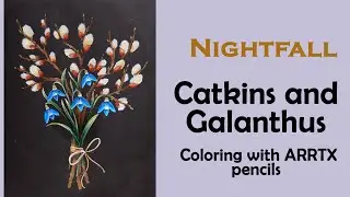 Coloring with ARRTX pencils in 'Nightfall'  #adultcoloring