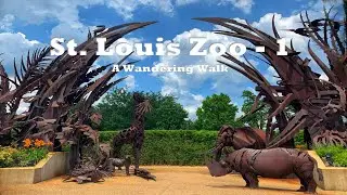 St. Louis Zoo &ndash; Part 1: Wandering Walks of Wonder Slow TV Walking Tour 4K