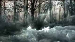 The Beauty of Gemina 
