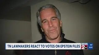 TN lawmakers react to vote on Epstein files
