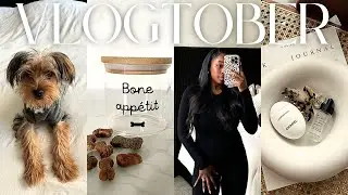 VLOGTOBER | You need a dog in your 20s! Vet visits + baking fails + more