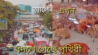 করোনার কারনে পৃথিবীটা বদলে গেছে। The good news about world climate change | বিচিত্র পৃথিবী