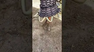 Barbarian Balloon Dress at the Texas Renaissance Festival