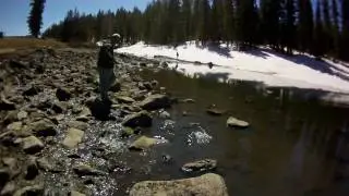 Ward Lake - Grand Mesa, CO