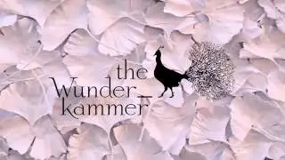 Shop for a Week - Magical Twist by The Wunderkammer