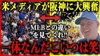 「こんなクレイジーな環境は日本にしかない」海外メディアが現地で絶句した”阪神タイガースという現象”【海外の反応】