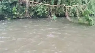 River Taw 23