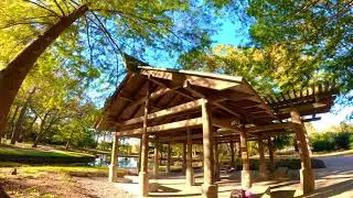 Walking in the Beautiful Garden | Mercer Botanic Garden in Houston