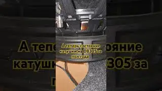 DB305 #дб #db #альфард #дифбонс #сабмачете #сильныйбас #сабвуфердома #громкийфронт #автозвукдома