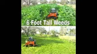 The Lawn Ranger And Pronto Services presents a slideshow of our work!